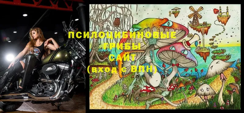 Псилоцибиновые грибы MAGIC MUSHROOMS  где купить наркотик  Верхняя Тура 